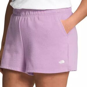 The North Face Half Dome Fleece Sweat Shorts Lupine White XXL